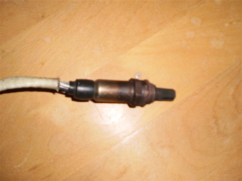 PB060117 (Medium).JPG