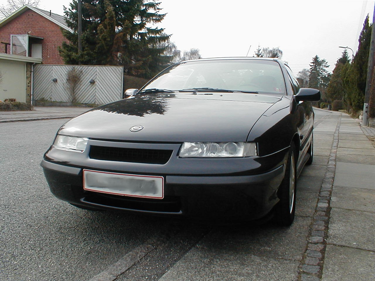front3.jpg