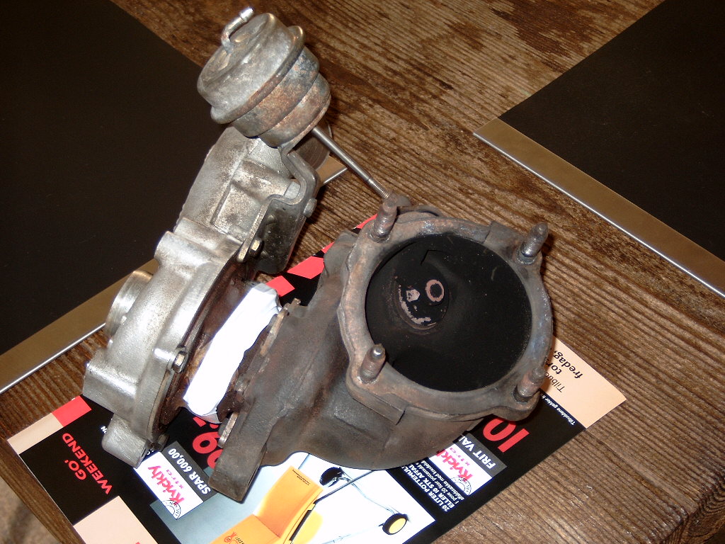 DX330063.JPG