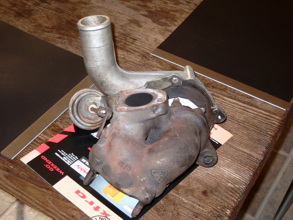 DX330064.JPG