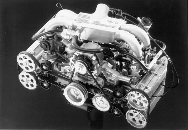 boxer16v.jpg
