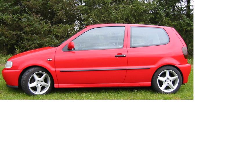 polo4.jpg